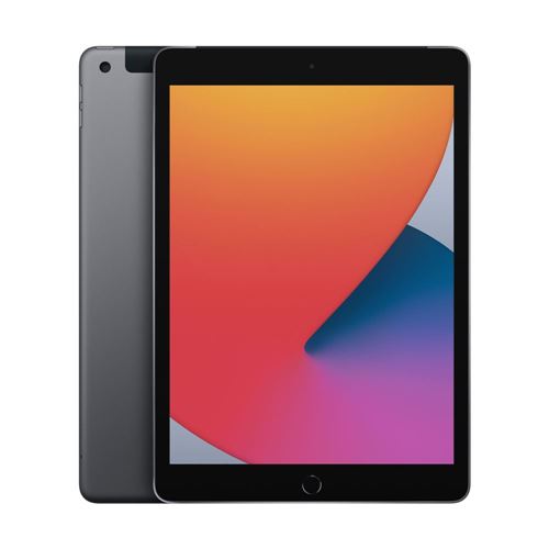 Apple iPad 8 - Space Gray (Late 2020); 10.2